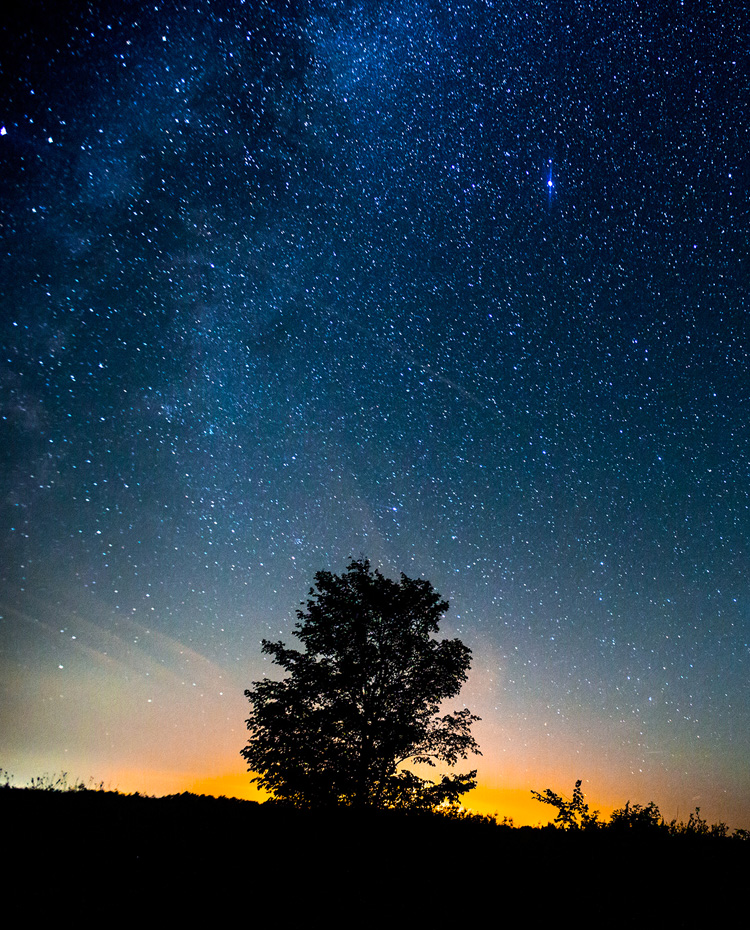 chambre d'hôtes promotion maison des lauriers