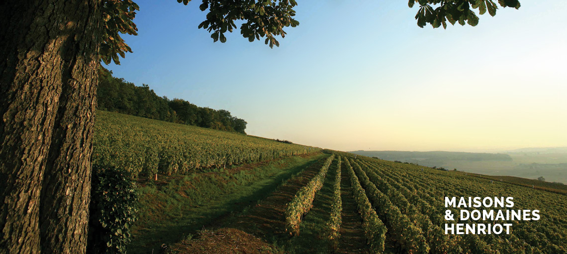 Édition - Newsletter Maisons et domaines Henriot